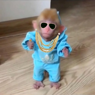 Telegram profile photo for $galvin