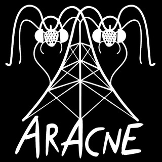 Telegram profile photo for Aracne...su Radio Fragola