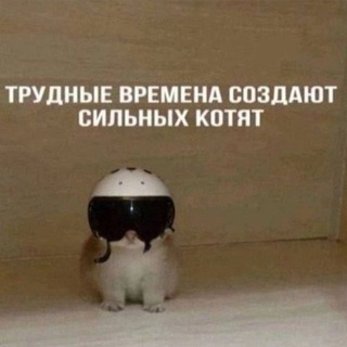 Telegram profile photo for Пересылка @