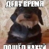 Telegram profile photo for Adapter TikTok