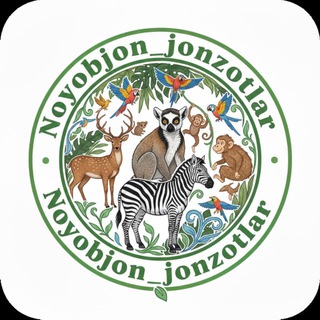 Telegram profile photo for Noyob jonzodlar zakazga
