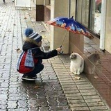 Telegram profile photo for Давайте по-человечески