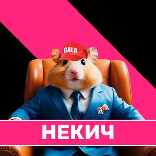 Telegram group profile photo for Некич chat