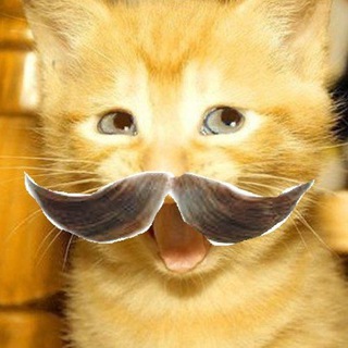 Telegram profile photo for daydreaming