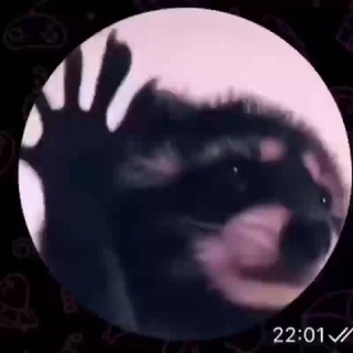 Telegram profile photo for Отзывы Paradox