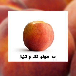 Telegram profile photo for کونکور 3