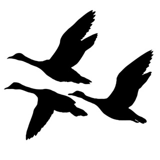 Telegram profile photo for Freies Reisen EU 🕊🗺🏝🏔🚘🛩
