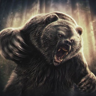Telegram profile photo for Медведь в шортах.