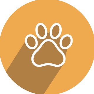 Telegram group profile photo for 🐕🐈🦜🐠 Животные КП