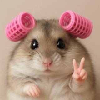 Telegram profile photo for Rant's Rental Base