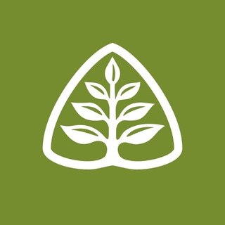 Telegram profile photo for Ministerios Ligonier