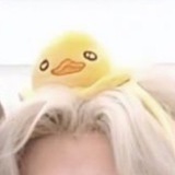 Telegram profile photo for mashiro best boy