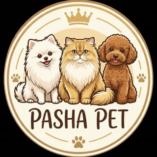 Telegram profile photo for فروش توله سگ های آپارتمانی پاشا پت 🐶