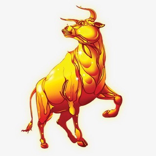 Telegram profile photo for 牛牛数据