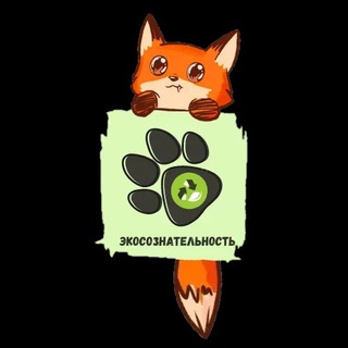Telegram group profile photo for РСО НОВОКОСИНО