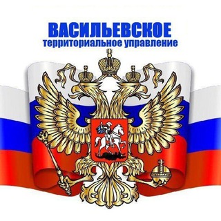 Telegram profile photo for Васильевский ТО