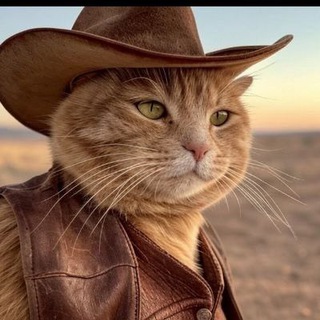 Telegram profile photo for Texas cat $TECAT
