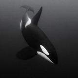 Telegram profile photo for ejsi