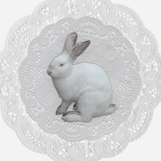 Telegram profile photo for винсент вон энгель