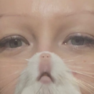 Telegram profile photo for ссоньё
