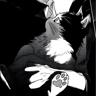 Telegram profile photo for Nevoria