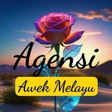 Telegram profile photo for Amoi