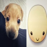 Telegram profile photo for отзывы арбитрукс старс