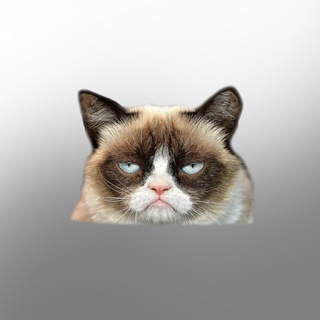 Telegram profile photo for Инга Вебер