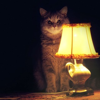 Telegram profile photo for Офигительные истории из Хакасии