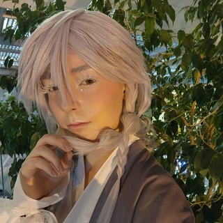 Telegram profile photo for Pedigree