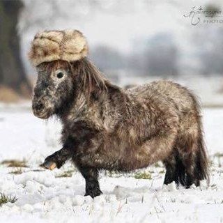 Telegram profile photo for хахахаль