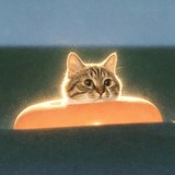 Telegram profile photo for Живопись • кошки • выпендрёжки