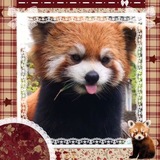 Telegram profile photo for ﹫ ⲙɑ૯'ઽ ઽ੮ɪςκ૯ʀ κɪⲛɢᑯ૦ⲙ 🏮 ♡゙