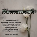 Telegram profile photo for ・︎・︎ Многоженство ・︎・︎