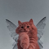 Telegram profile photo for صور كنها لك .