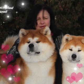 Telegram profile photo for Питомник Акита-Ину «Akari Angeland».