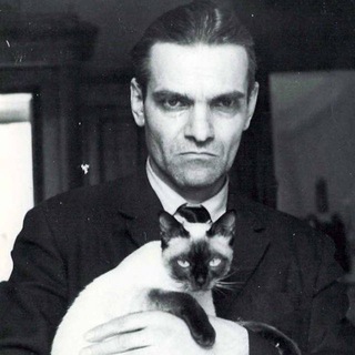 Telegram profile photo for человек и кошка