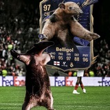 Telegram profile photo for Belligol Portal