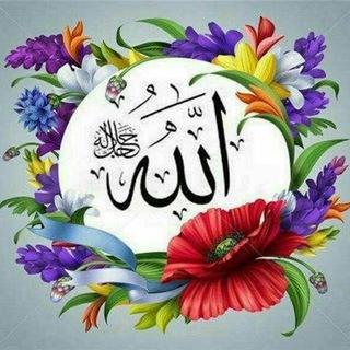 Telegram profile photo for 🕋کانال ماموستا شفیع شافعی فر🕋