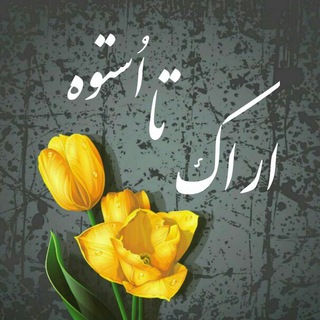 Telegram profile photo for 🌴ارٰاکْ تا اُسْتُوه🌴