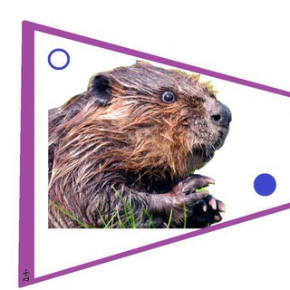 Telegram profile photo for Первый Бобриный🦫