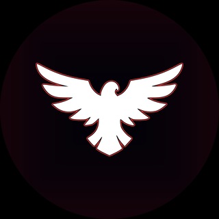 Telegram profile photo for falcon