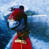 Telegram profile photo for Surfinside