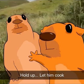 Telegram profile photo for LetHimCookMemes