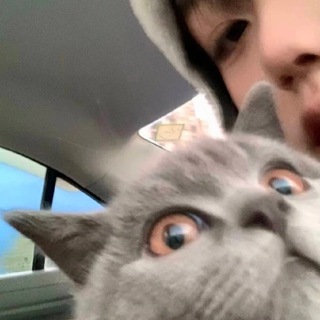 Telegram profile photo for TX—甜心集团工作日记
