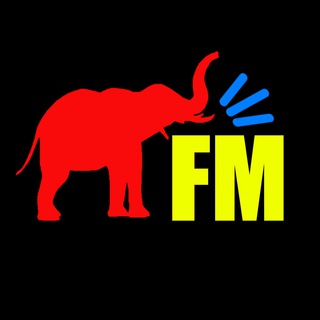 Telegram profile photo for Слон FM | Інфа про ВІ КНУ