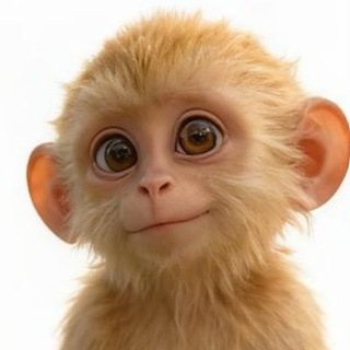 Telegram profile photo for 孙小圣官方群