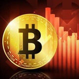 Telegram profile photo for Bitcoin binance trading