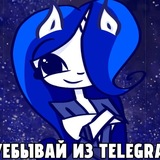 Telegram profile photo for святая милица