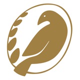 Telegram profile photo for Скопинская Керамика